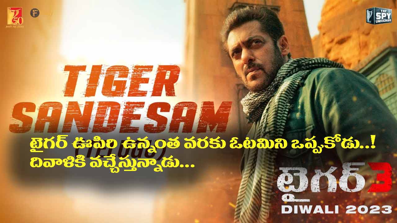 Tiger 3 releasing on Diwali