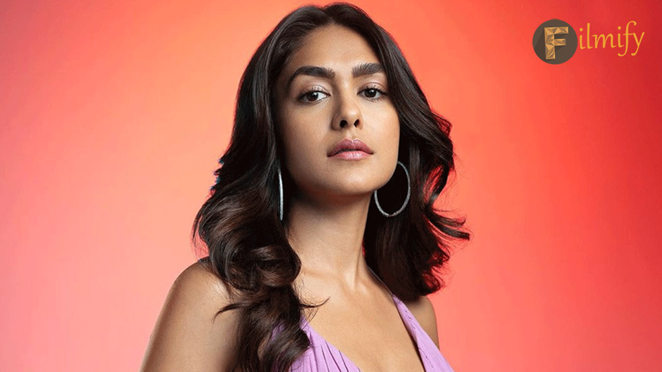 mrunal thakur revealed her income an investment details